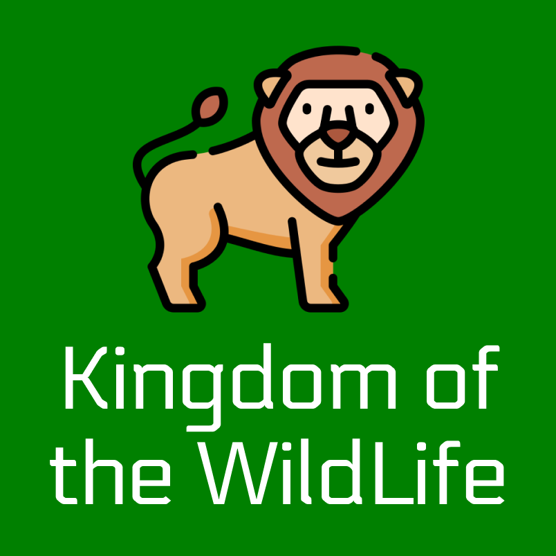 Kingdom of the WildLife